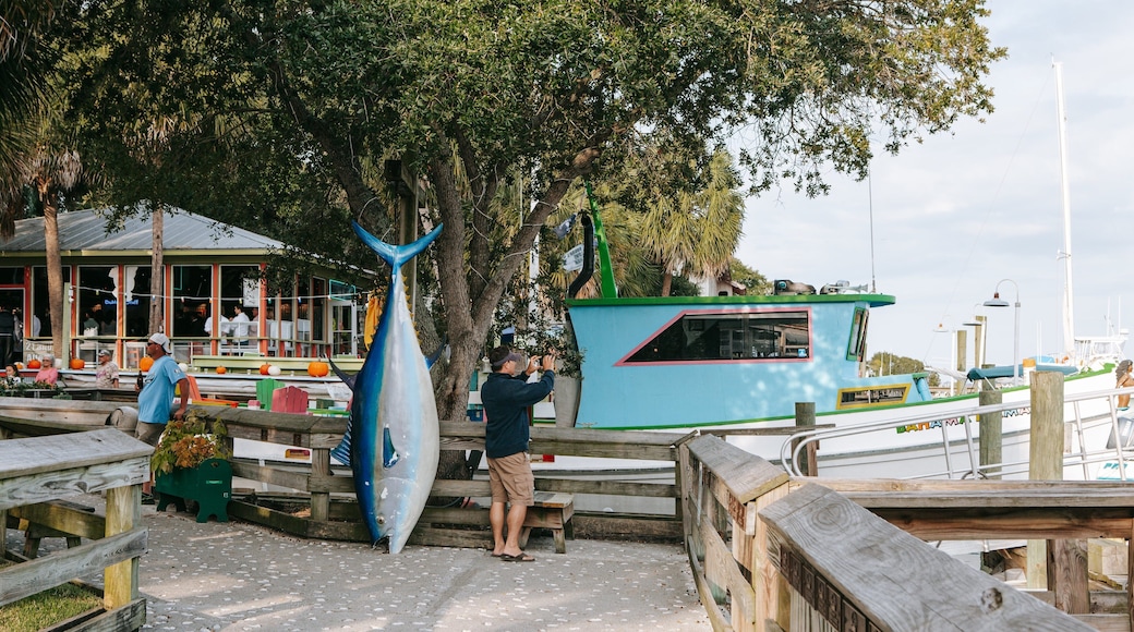 Murrells Inlet showing a bay or harbor as well as an individual male