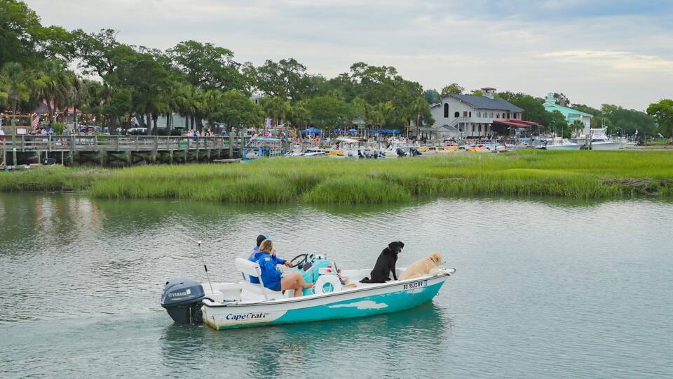 A boat with two dogs on a calm water body, surrounded by greenery and a dock with people.