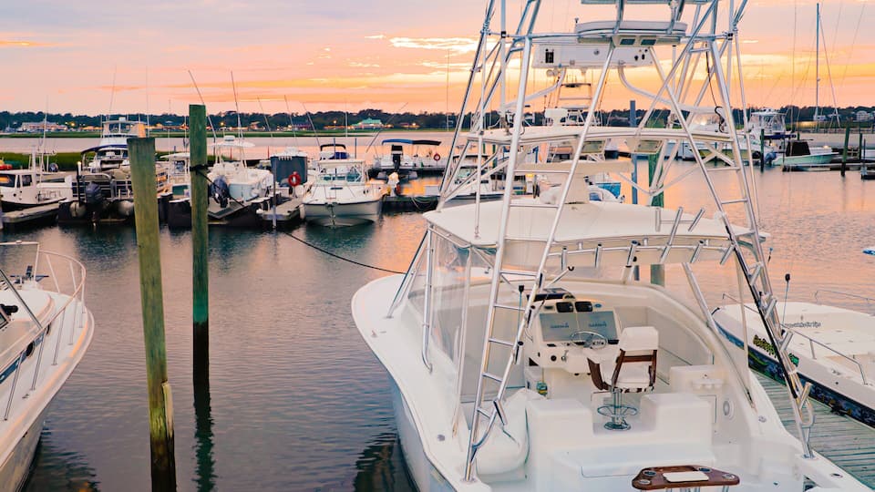 A marina with multiple boats docked at sunset.