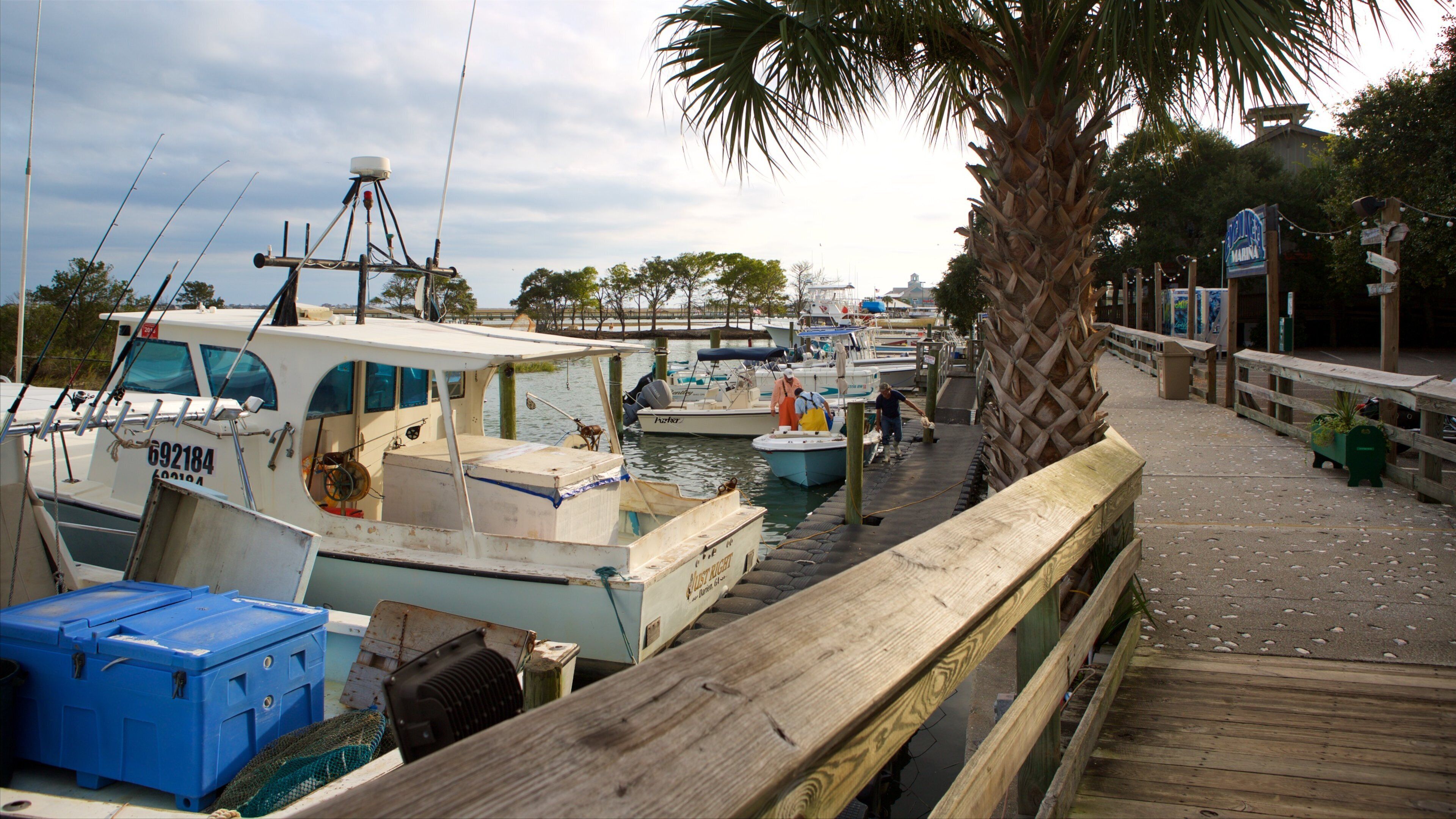 A marina with several boats docked, a wooden walkway, and a palm tree.