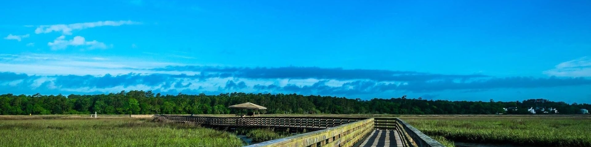 More birds watching pier