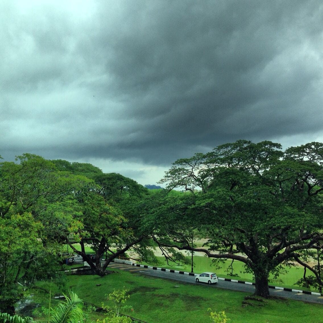 Nice hotel to stay in. Just at the edge of the lake garden. This is the view you get :)