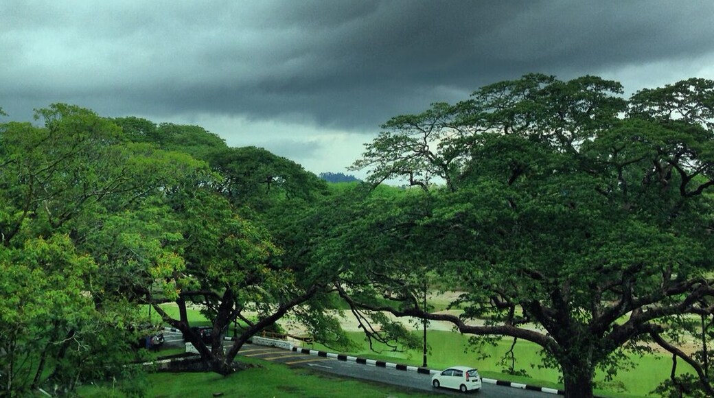Nice hotel to stay in. Just at the edge of the lake garden. This is the view you get :)