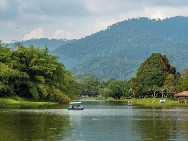 Establish in 1880, on the site of a previous tin mine,  Taiping Lake Garden is the oldest public garden in Malaya. With an area of 64 hectares, its flowers, trees and grasses are complimented by ten lakes and ponds.