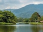 Establish in 1880, on the site of a previous tin mine, Taiping Lake Garden is the oldest public garden in Malaya. With an area of 64 hectares, its flowers, trees and grasses are complimented by ten lakes and ponds.