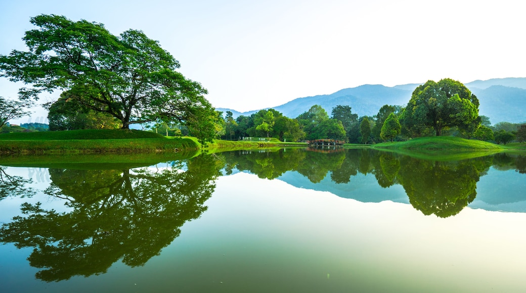 Taiping