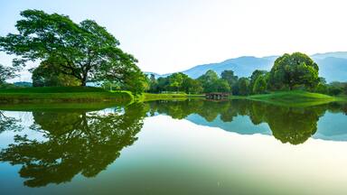 Reflections at Tasik Taiping Lake, Perak, Malaysia