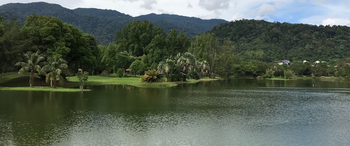 Taiping Lake Gardens