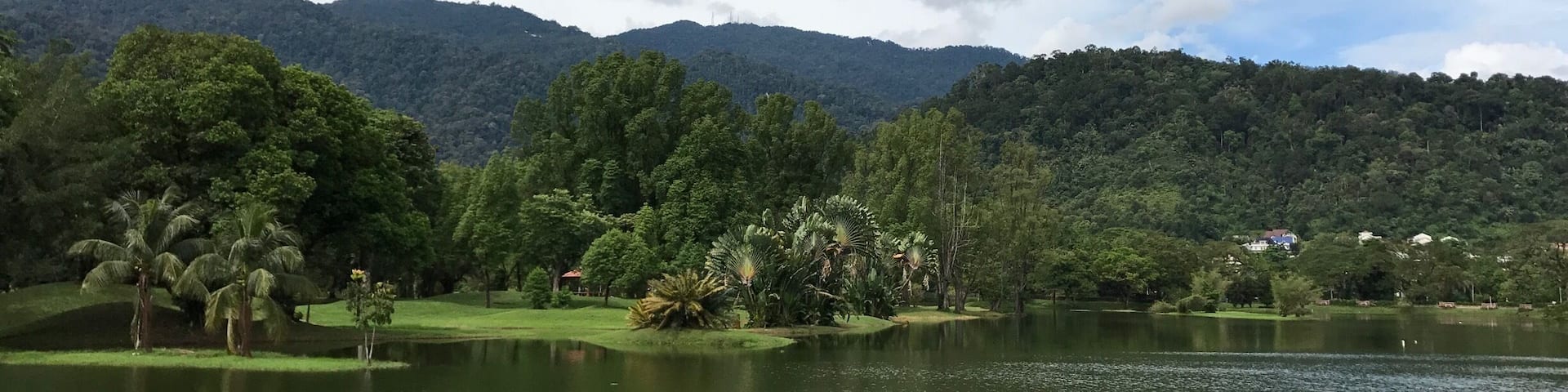 Taiping Lake Gardens