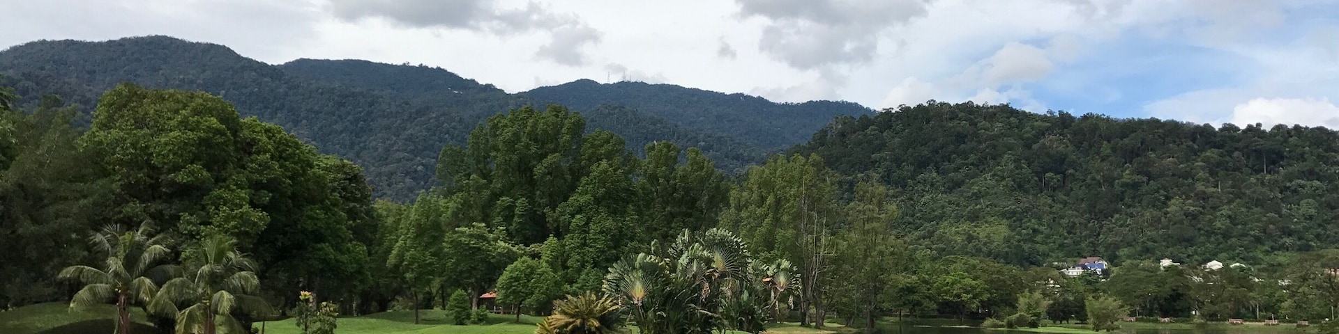 Taiping Lake Gardens