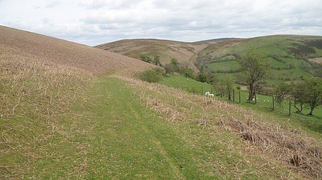 Track on Gors Lydan A grass track running along the edge of the enclosed land.
