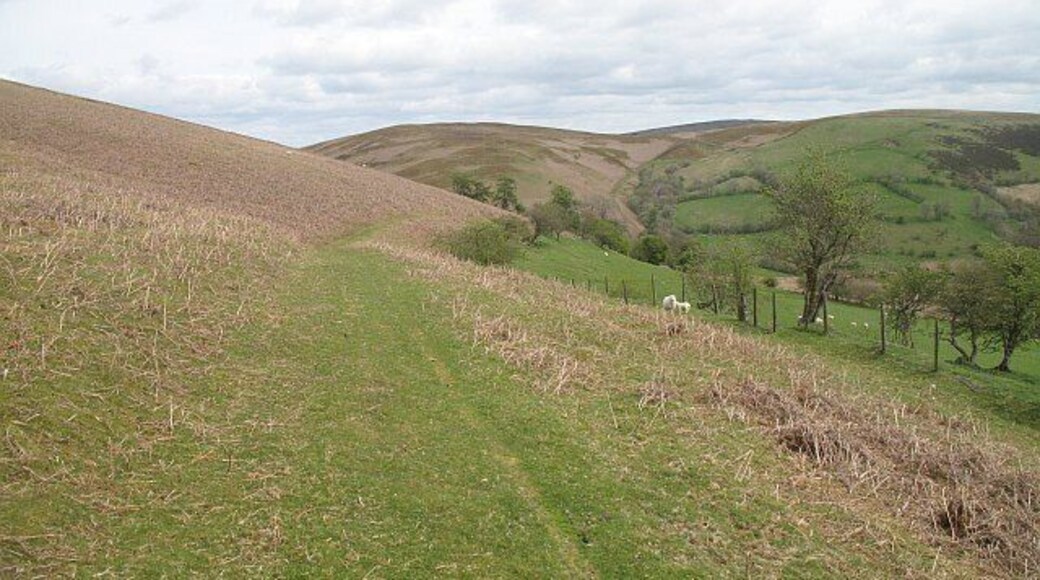 Track on Gors Lydan A grass track running along the edge of the enclosed land.