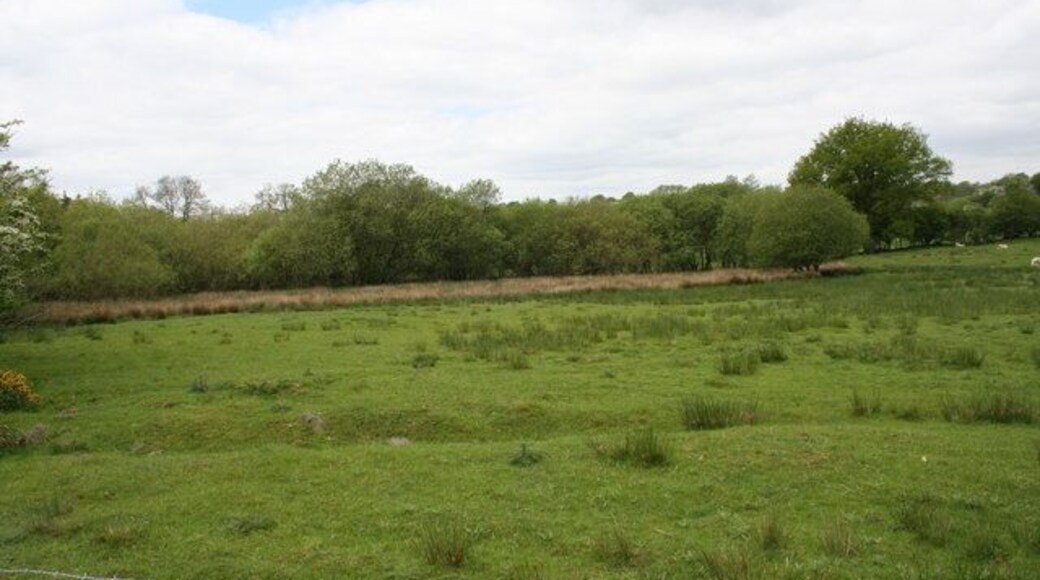 Other side of the stream Pasture land on the Hundred house side of the stream