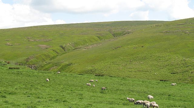 Esgairnantau Headwaters of the Mithil Brook.