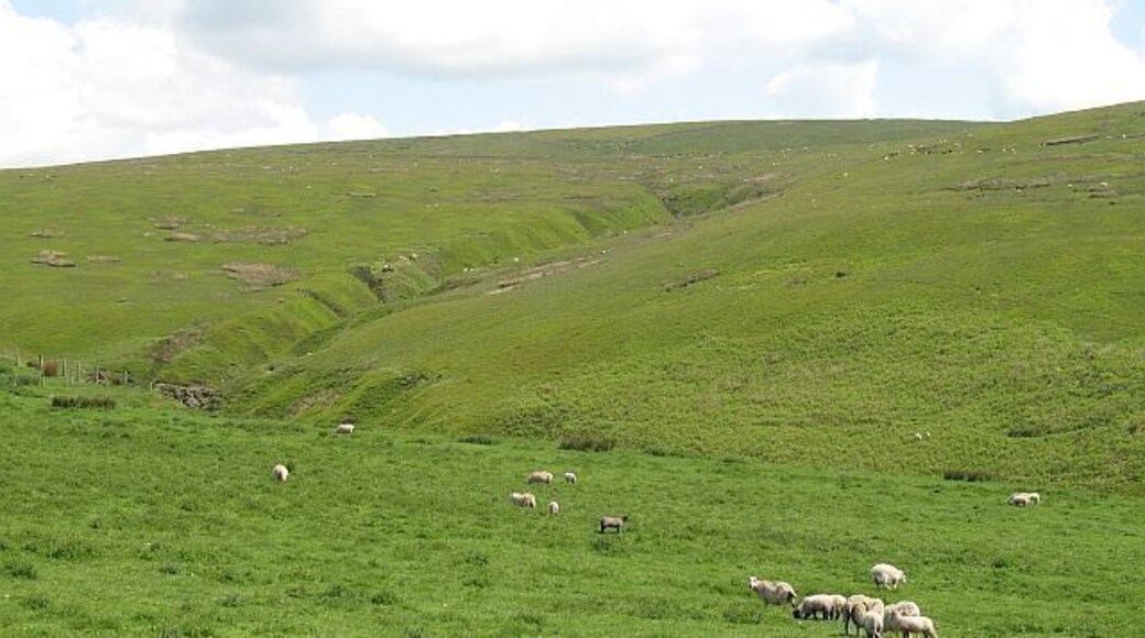 Esgairnantau Headwaters of the Mithil Brook.