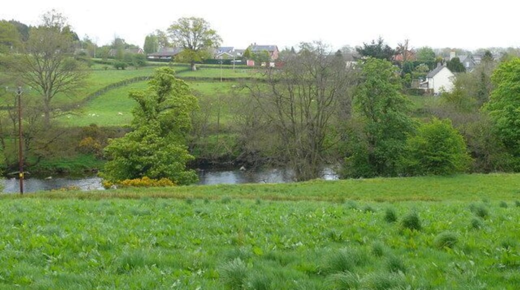 Afon Gwy / River Wye Afon Gwy ger Bontnewydd-ar-wy / River Wye near Newbridge-on-Wye