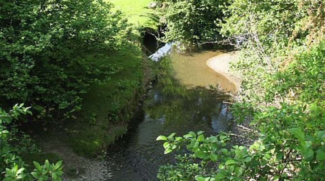 Mithil Brook Now a lot wider than it was when I crossed the stream earlier in the day, high on the Radnor Forest. The small river runs through wooded banks to join the Irfon.
