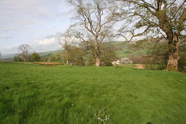 The outer wall The trees mark the line of the outer wall or defences.