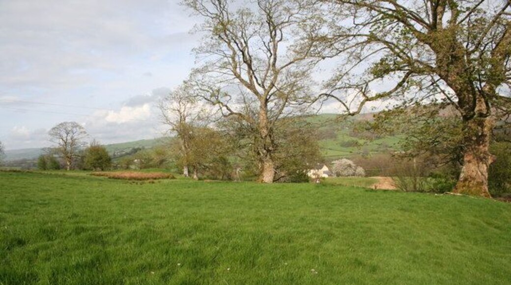 The outer wall The trees mark the line of the outer wall or defences.