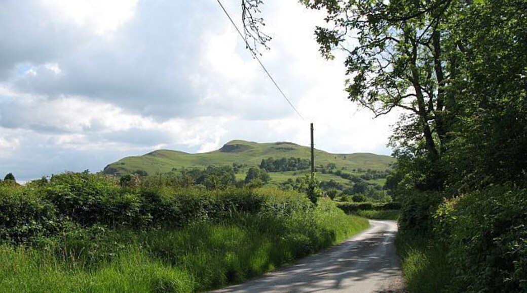 Lane near Llandegley Road between The Pales and Llandegley.