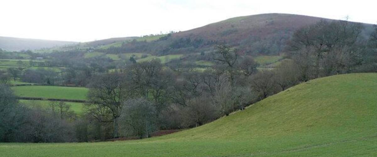 Rolling hills, a valley, and scattered trees.