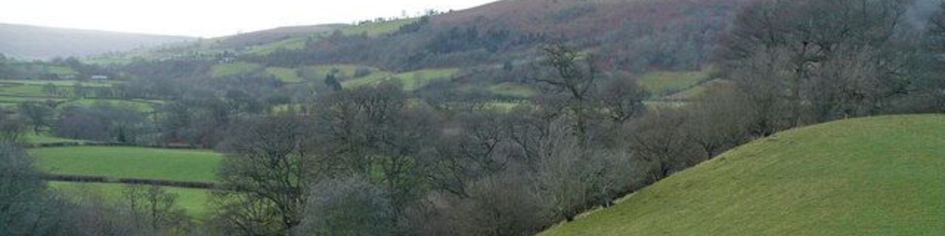 Rolling hills, a valley, and scattered trees.