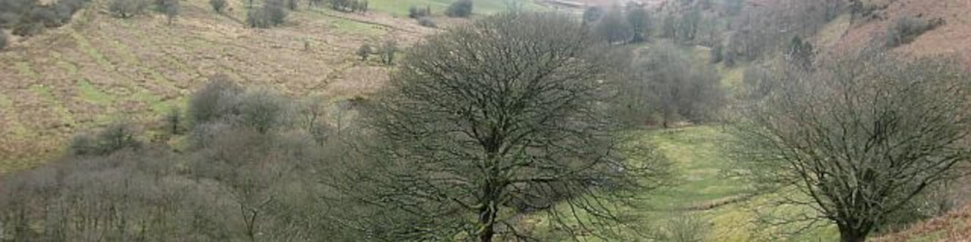 View up the valley towards New Well