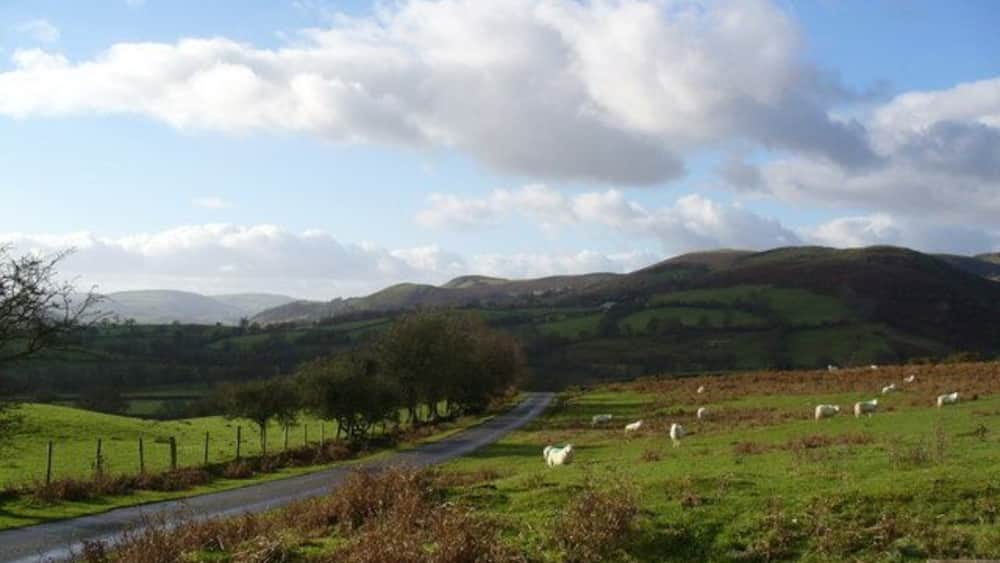 A rural landscape with a road, green fields, sheep, and rolling hills under a partly cloudy sky.