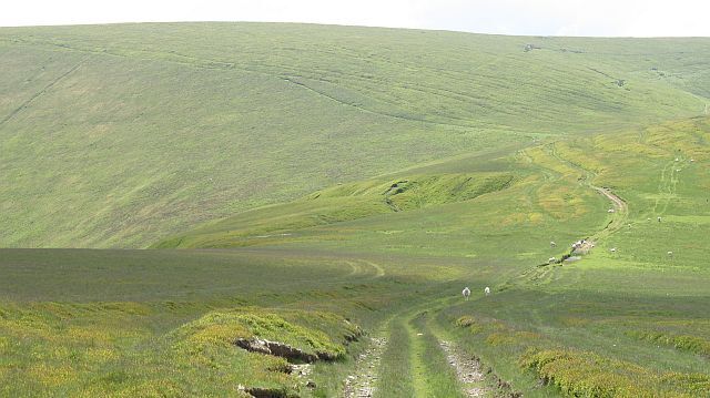 Trackway, Cefn-y-grug The road along the western scarp of the Radnor Forest descends to a pass with an old earthwork, the Cross Dyke.