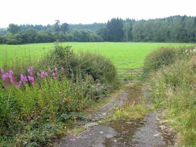 Meadow beside the Wye Seen from the B4358 road from Newbridge-on-Wye to Beulah.
