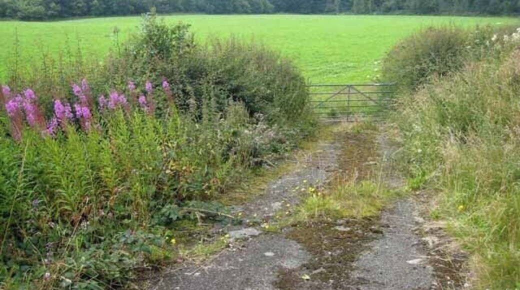 Meadow beside the Wye Seen from the B4358 road from Newbridge-on-Wye to Beulah.
