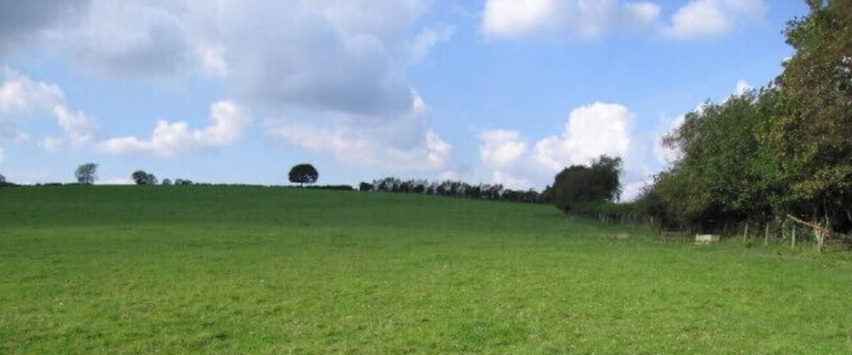A green field with a hill in the distance and trees on the right.
