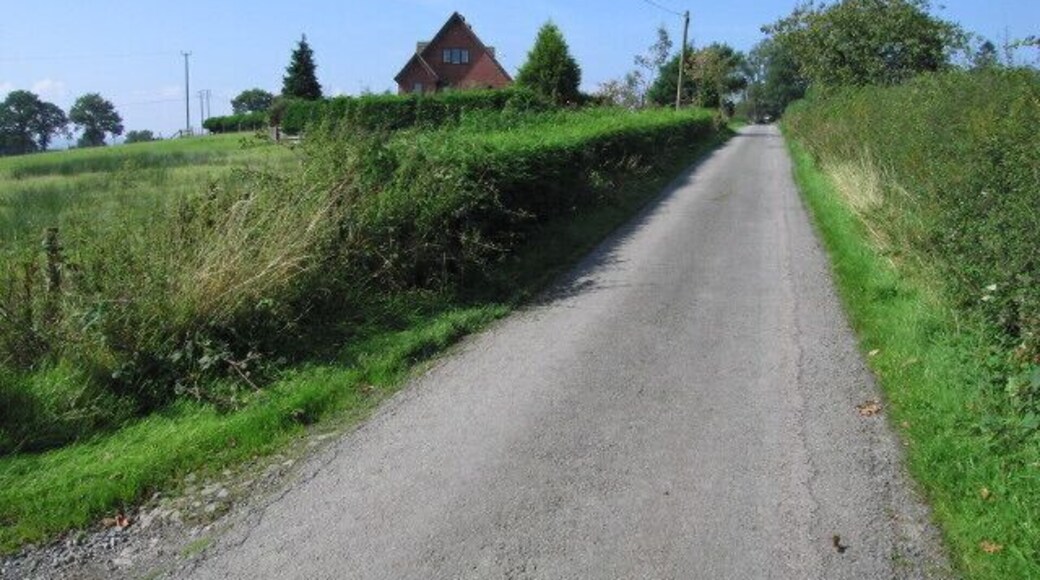 House on a lane Looking along the lane to the house at (or perhaps called) Llan a'r-Ithon.