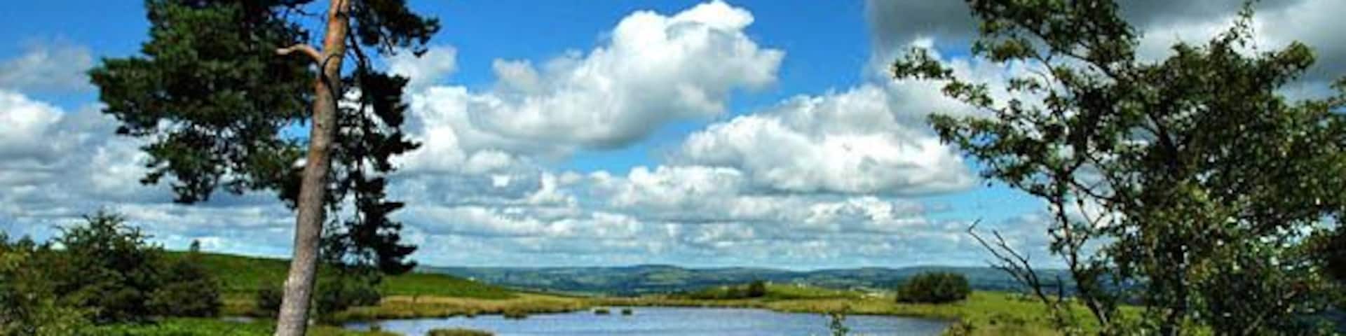The pool on the ridge This attractive little pool lies just to the north of the quiet ridge path between Pawl-hir and Llandrindod Wells