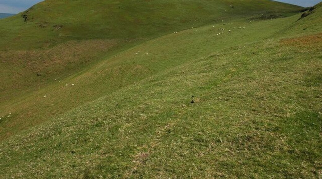 Carneddau Hills The Carneddau Hills are situated to the north of Builth Wells, pictured here is the northern end of these hills