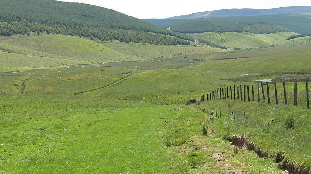 Descent to the Mithil Brook The Dolau to New Radnor road descends to cross the Mithil Brook at a gap in its gorge. New plantations on the Esgairnantau ridge in the background.