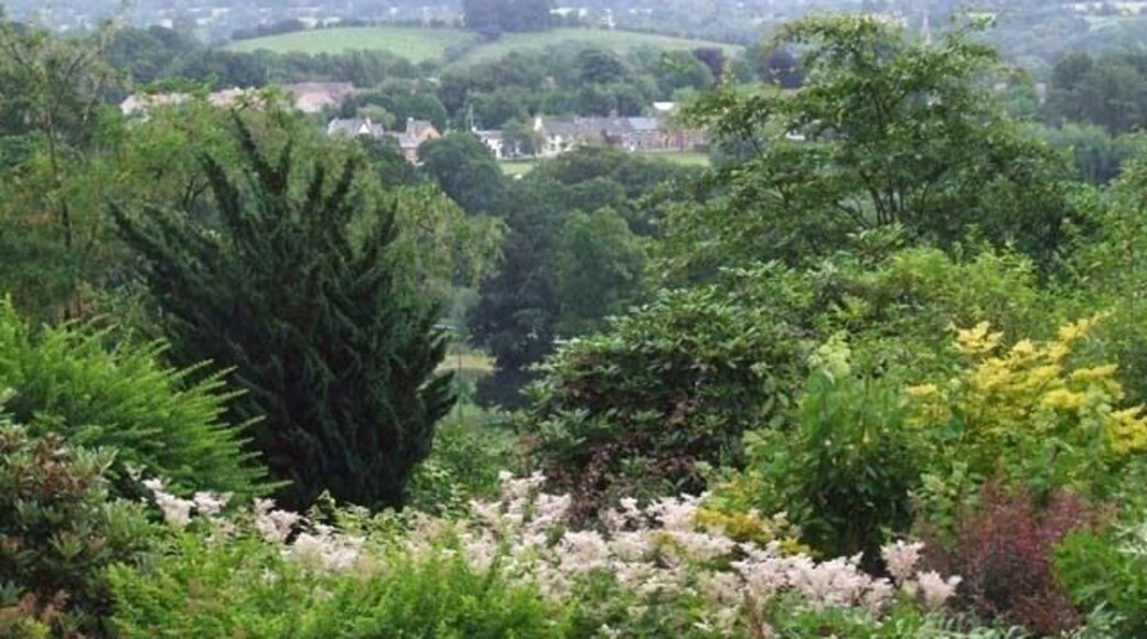 Llysdinam Gardens Llysdinam Gardens with a view of Newbridge-on-Wye in the distance.