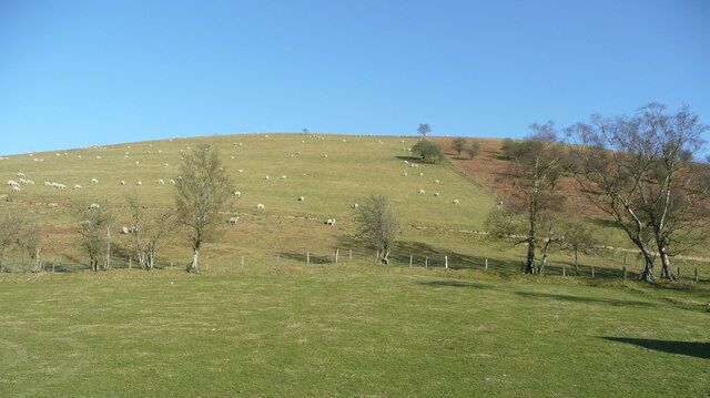 Fron Goch This sheep-grazed rounded hill is one of the western outliers of the Radnor Forest massif, overlooking the A44 to the south-east of Llandegley.