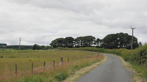 The road to Ddullui Bank Mainly used for farm and forestry access.