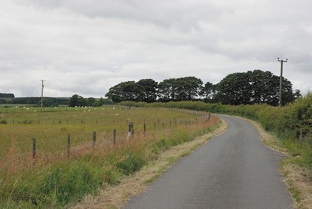 A rural road curving through a field with a fence on one side and trees in the distance.