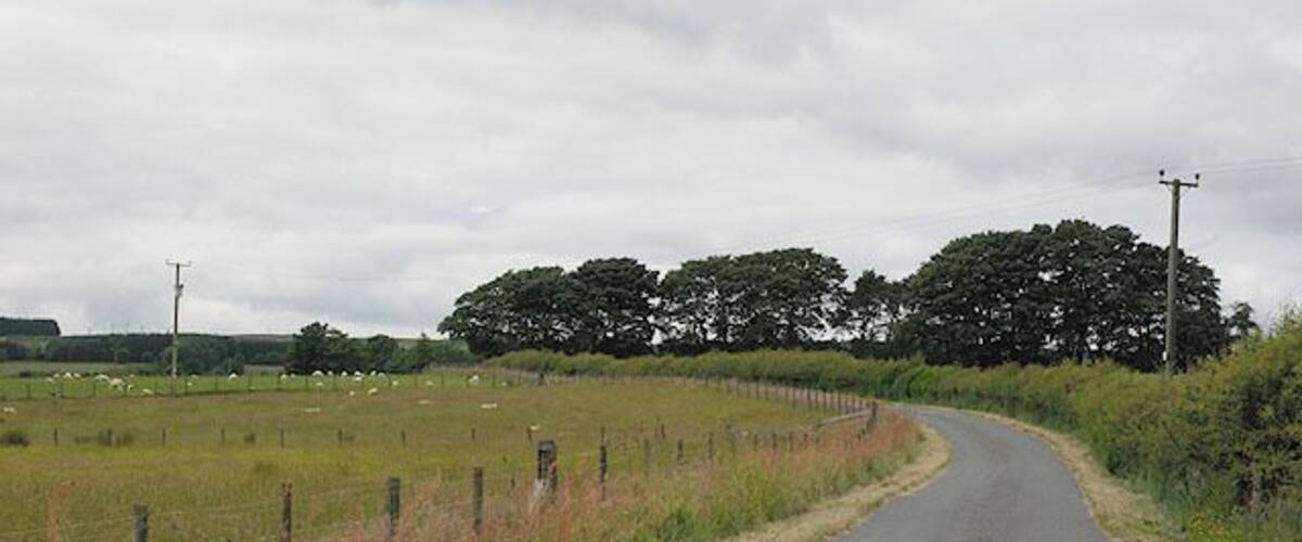 A rural road curving through a field with a fence on one side and trees in the distance.