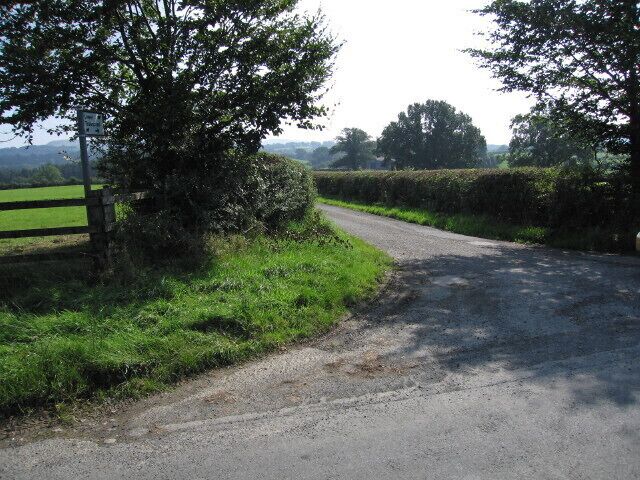 A rural road with a wooden fence and greenery on the side.