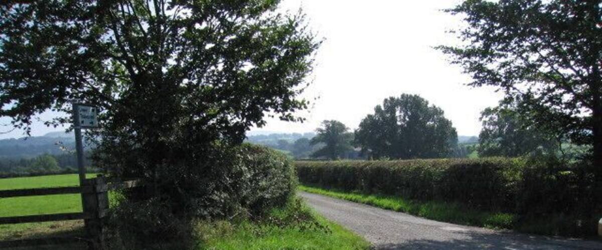 A rural road with a wooden fence and greenery on the side.