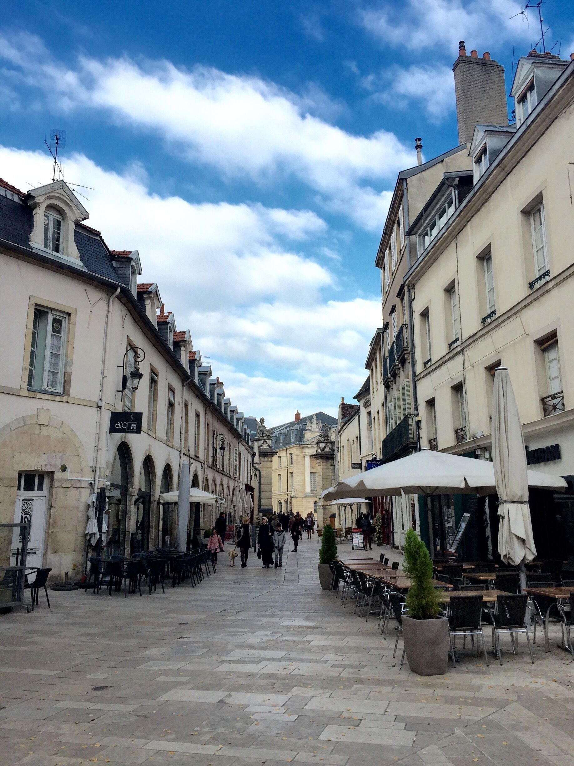 The centre of Dijon is beautiful, mix of architecture from medieval upwards. One of the best ways to see it is to follow the owl's trail, a marked out trail taking in all the main sites (takes a couple of hours to walk) our kids loved it and walked the whole way!!
#kidsfun #outdoors #citybreak