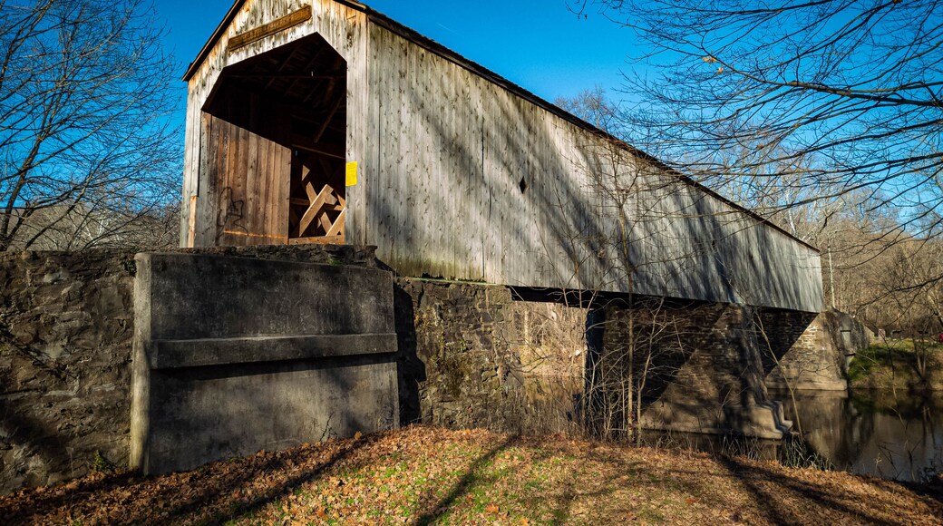 Tyler State Park, Pennsylvania
