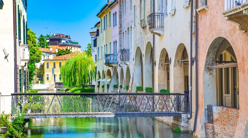 Treviso
