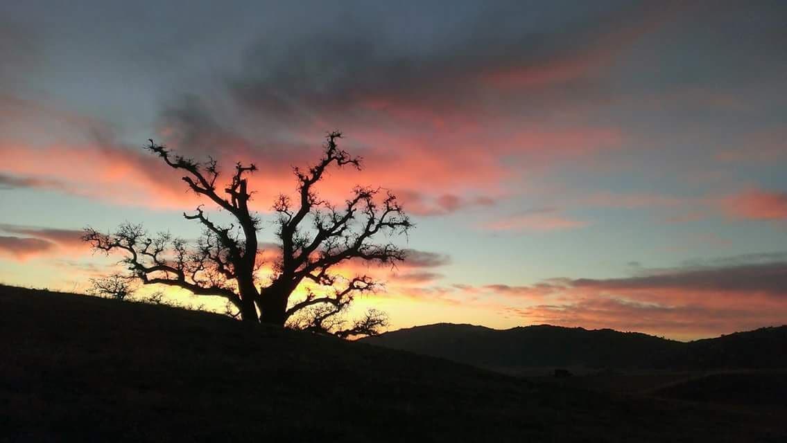 <h2>Los mejores alojamientos para familias</h2>