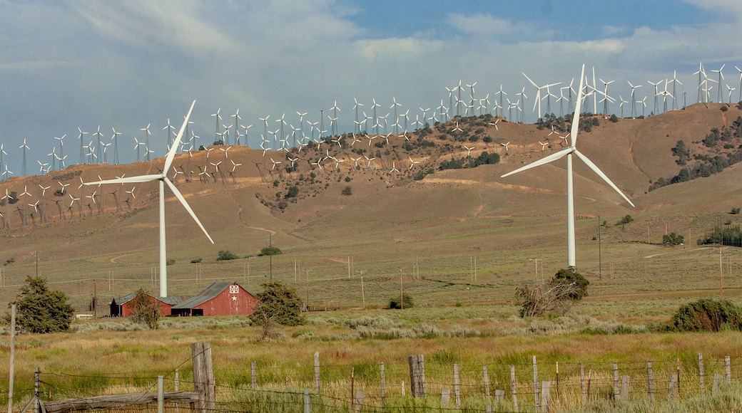 Twice The Power! Solarfields on the way to Mojave ,CA.
#photography #Landscapes #landscapephotography #landscape_captures #paisaje #farmlife #farm #windfarm #peaceful #WIND #windmill #gogreen #power #eco #energy #clouds #nubes #foto #fotó #FotoDelDia #FOTD #PhotoOfTheDay #canonusa #canonphotography #abc7eyewitness