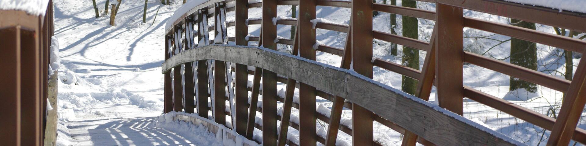 Wooden bridge in the Merrill Park, Colonia, Woodbridge Township, Middlesex County, New Jersey, USA