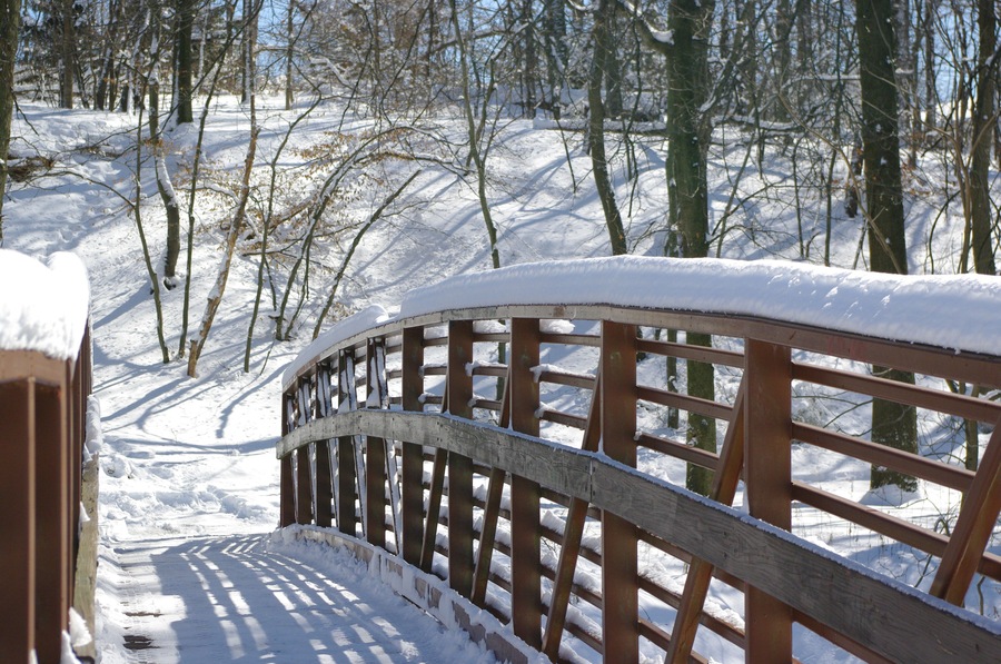 Wooden bridge in the Merrill Park, Colonia, Woodbridge Township, Middlesex County, New Jersey, USA